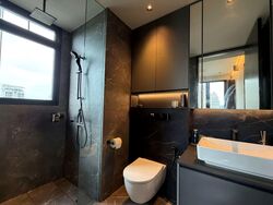 Irwell Hill Residences (D9), Apartment #560616691